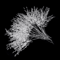Crystal Acrylic Water Droplet Stems Elegant DIY Bouquet Wedding Decor Accessories 3