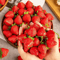 Realistic Artificial Strawberry Set Lifelike Fake Fruit For Decor Photography Props 1