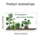 Modern Plant Kitchen Wall Stickers Removable Quote Wall Art Decorative Mural 4