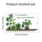 Modern Plant Kitchen Wall Stickers Removable Quote Wall Art Decorative Mural 4