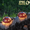 GlowBug Solar Ladybug Hanging Light Waterproof Metal Garden Decor Outdoor LED Porch Backyard Orname 0