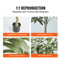 SucceBuy Artificial Olive Tree 46FT Realistic Faux Olive Tree Indoor With AntiTip Base LowMainten 2