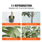 SucceBuy Artificial Olive Tree 46FT Realistic Faux Olive Tree Indoor With AntiTip Base LowMainten 2