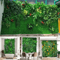 10PCS Artificial Boxwood Hedge Wall Panels UVProtected Greenery Wall Backdrop For Indoor Outdoor P 0