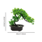 Artificial Japanese Pine Bonsai Tree Realistic Mini Bonsai Plant For Desk Home Office Decor 5