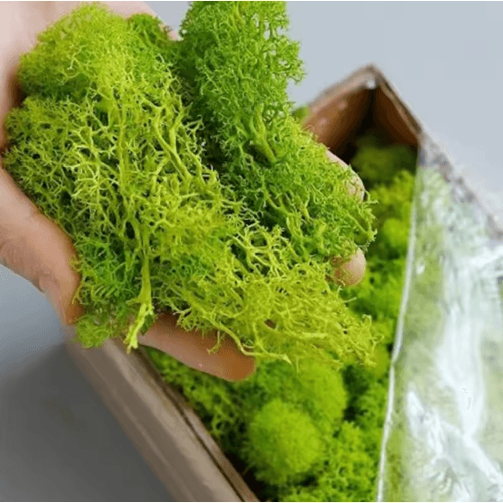 Artificial Moss Grass Realistic Mini Landscape Moss For DIY Crafts Home Garden Decor 0