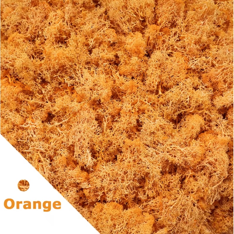 Artificial Moss Grass Realistic Mini Landscape Moss For DIY Crafts Home Garden Decor 10