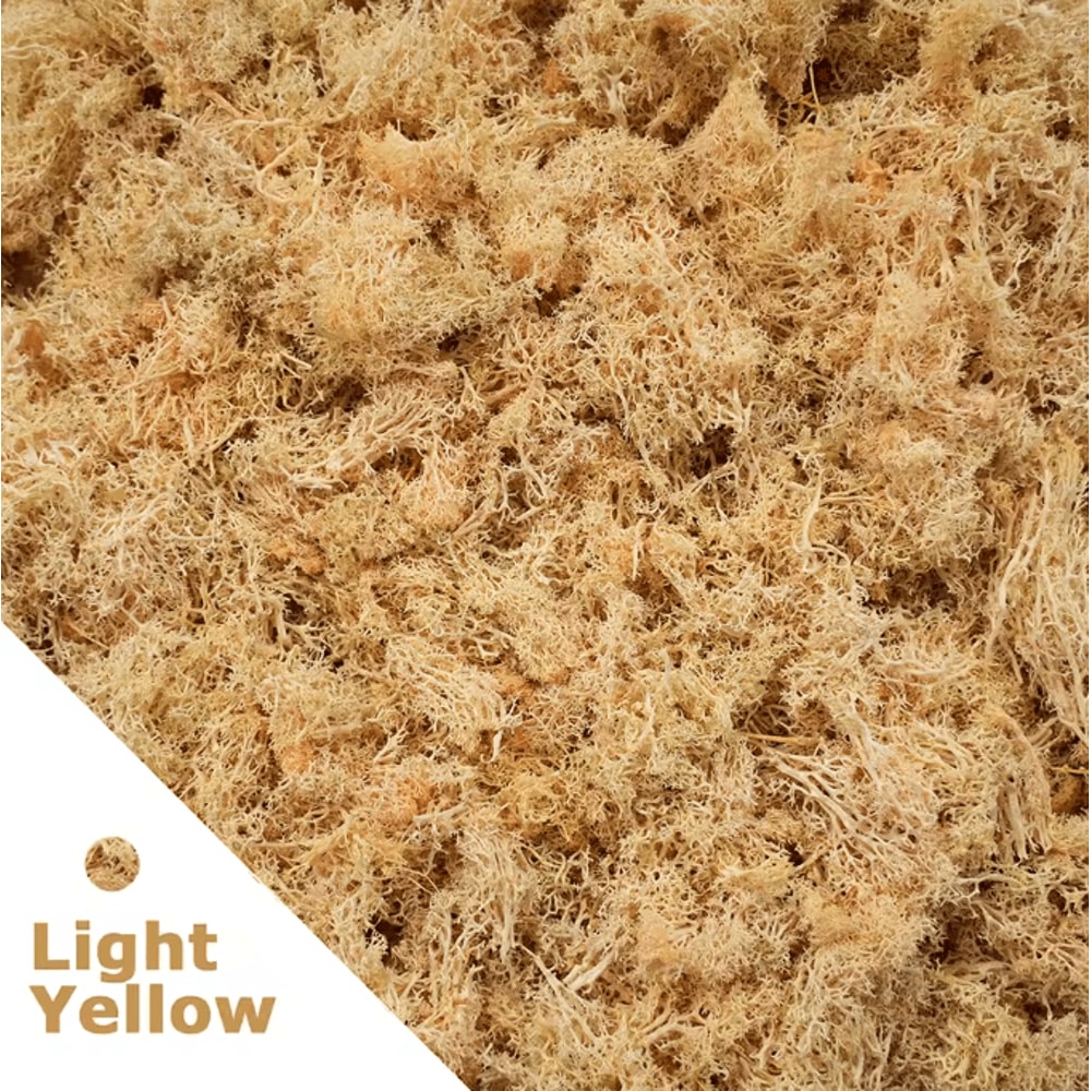 Artificial Moss Grass Realistic Mini Landscape Moss For DIY Crafts Home Garden Decor 11