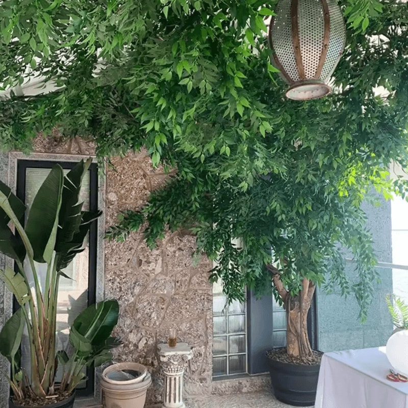 10PCS Italian Ruscus Artificial Greenery Stems For Wedding Arch Bouquet Home Decor Faux Leaves 5