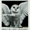Deftones Album Cover Canvas Poster Around The Fur Saturday Night Wrist Music Wall Art Decor 6