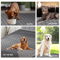 Double Sided Waterproof Dog Bed Cover Pet Blanket Sofa Protector For Couch Furniture 2