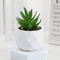 Mini Artificial Succulent Bonsai Plants Realistic Fake Greenery Decor For Desk And Home 11