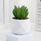 Mini Artificial Succulent Bonsai Plants Realistic Fake Greenery Decor For Desk And Home 4