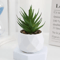 Mini Artificial Succulent Bonsai Plants Realistic Fake Greenery Decor For Desk And Home 5