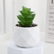 Mini Artificial Succulent Bonsai Plants Realistic Fake Greenery Decor For Desk And Home 7