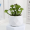 Mini Artificial Succulent Bonsai Plants Realistic Fake Greenery Decor For Desk And Home 8