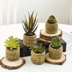 5 piece artificial aloe vera potted plants set realistic mini succulent decor for home desk and kitchen