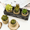 5 Piece Artificial Aloe Vera Potted Plants Set Realistic Mini Succulent Decor For Home Desk And Kit 1