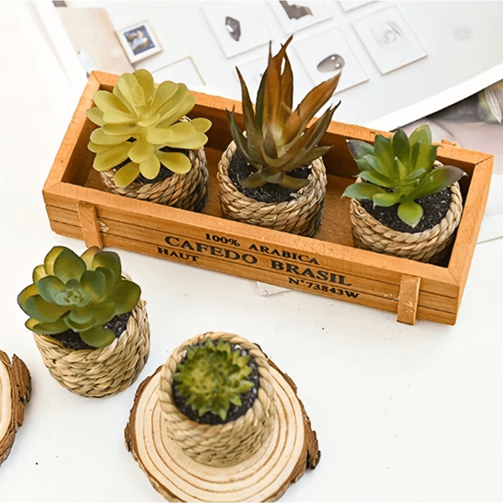 5 Piece Artificial Aloe Vera Potted Plants Set Realistic Mini Succulent Decor For Home Desk And Kit 2