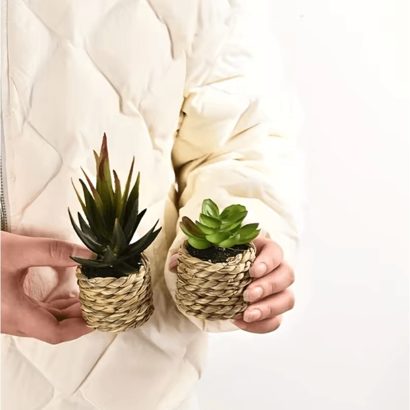 5 Piece Artificial Aloe Vera Potted Plants Set Realistic Mini Succulent Decor For Home Desk And Kit 3