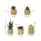 5 Piece Artificial Aloe Vera Potted Plants Set Realistic Mini Succulent Decor For Home Desk And Kit 4