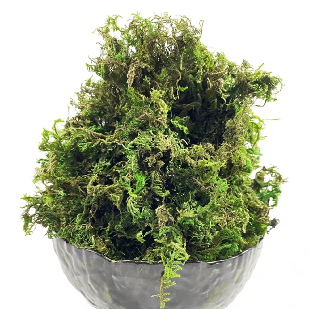 Artificial Green Moss For Potted Plants Realistic Decorative Moss For Crafts Orchid Pots DIY Deco 1