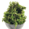 Artificial Green Moss For Potted Plants Realistic Decorative Moss For Crafts Orchid Pots DIY Deco 1