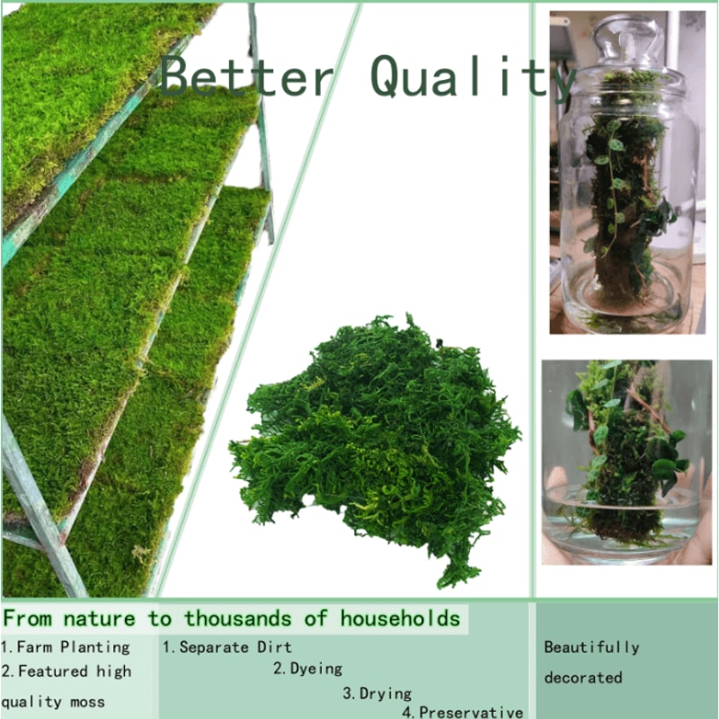 Artificial Green Moss For Potted Plants Realistic Decorative Moss For Crafts Orchid Pots DIY Deco 3