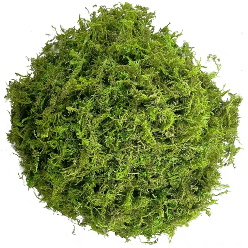 Artificial Green Moss For Potted Plants Realistic Decorative Moss For Crafts Orchid Pots DIY Deco 4