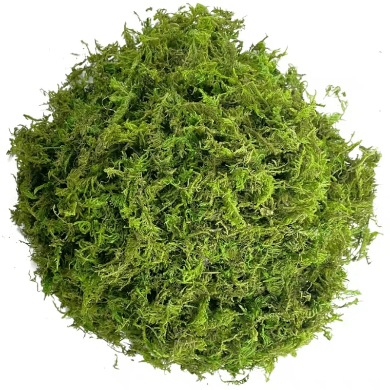 Artificial Green Moss For Potted Plants Realistic Decorative Moss For Crafts Orchid Pots DIY Deco 4