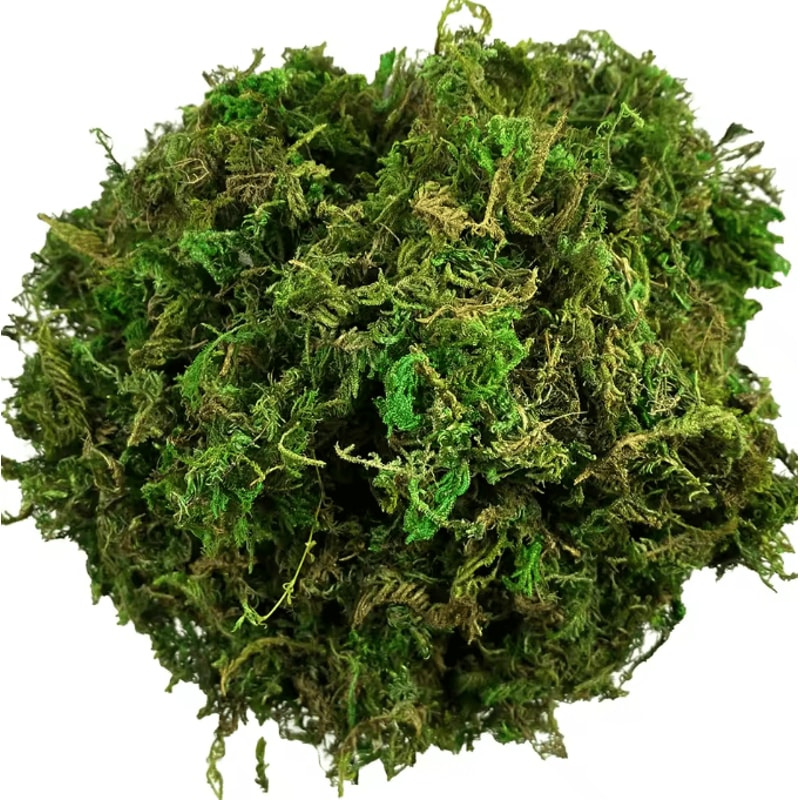 Artificial Green Moss For Potted Plants Realistic Decorative Moss For Crafts Orchid Pots DIY Deco 5