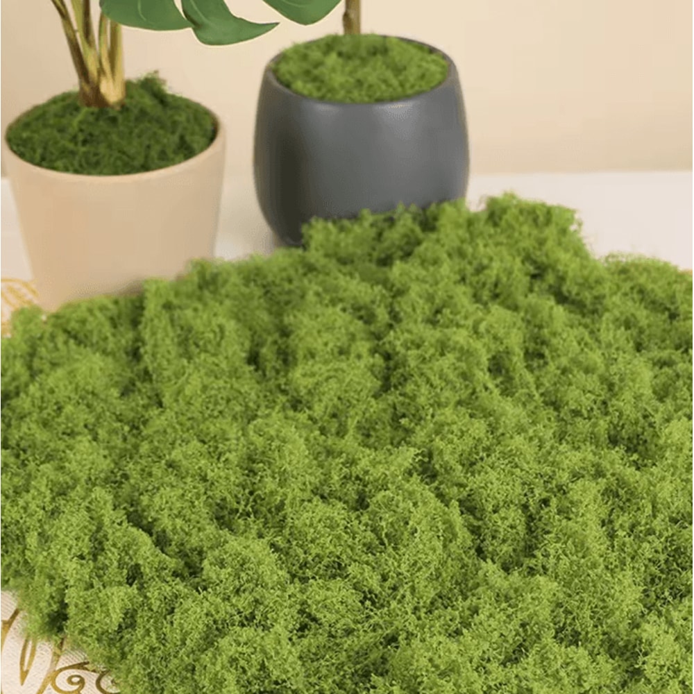 50030G Artificial Green Moss Mini Landscape Fake Grass For DIY Crafts Plant Decor Home Styling 2
