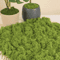 50030G Artificial Green Moss Mini Landscape Fake Grass For DIY Crafts Plant Decor Home Styling 2