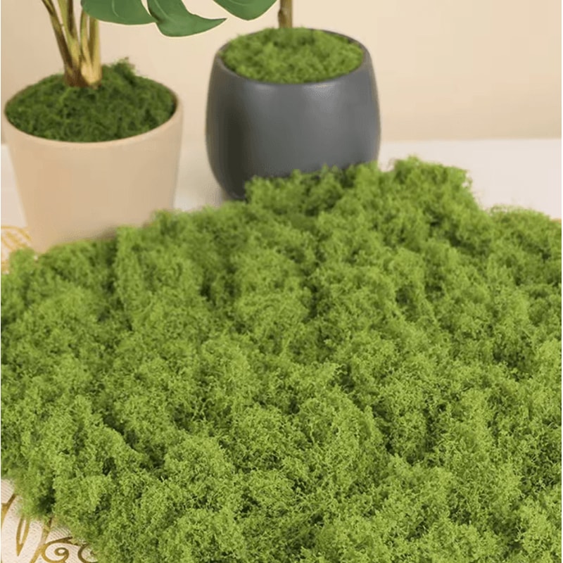 50030G Artificial Green Moss Mini Landscape Fake Grass For DIY Crafts Plant Decor Home Styling 2
