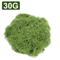 50030G Artificial Green Moss Mini Landscape Fake Grass For DIY Crafts Plant Decor Home Styling 5