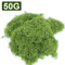 50030G Artificial Green Moss Mini Landscape Fake Grass For DIY Crafts Plant Decor Home Styling 6