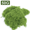 50030G Artificial Green Moss Mini Landscape Fake Grass For DIY Crafts Plant Decor Home Styling 6