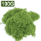50030G Artificial Green Moss Mini Landscape Fake Grass For DIY Crafts Plant Decor Home Styling 7
