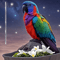 Colorful Parrot Garden Stake Decor Bright Outdoor Bird Ornament For Lawn Patio Home Decoration 2