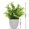Mini Artificial Potted Plant Bonsai Decorative Fake Flower Tabletop Ornament For Home And Office De 6