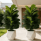 3FT Artificial Fiddle Leaf Fig Tree 2Pack With White Geometric Pot Realistic Faux Indoor Outdoor Pl 0
