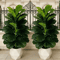 3FT Artificial Fiddle Leaf Fig Tree 2Pack With White Geometric Pot Realistic Faux Indoor Outdoor Pl 3