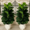 3FT Artificial Fiddle Leaf Fig Tree 2Pack With White Geometric Pot Realistic Faux Indoor Outdoor Pl 3