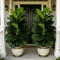 3FT Artificial Fiddle Leaf Fig Tree 2Pack With White Geometric Pot Realistic Faux Indoor Outdoor Pl 4