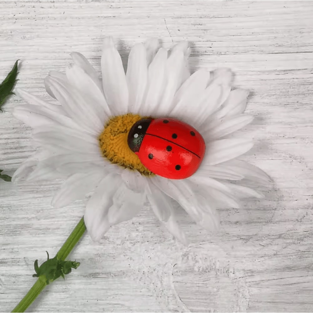 Large Wooden Ladybug Garden Decor Mini Fairy Garden Insect Craft DIY Accessory For Home Outdoor Dec 2
