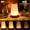 13Color RGB Touch Night Light With Remote Control Dimmable Rechargeable Bedside Lamp 1