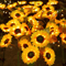 Solar LED Sunflower Rose Garden Lights Waterproof Colorful Outdoor Landscape Decor 3