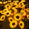 Solar LED Sunflower Rose Garden Lights Waterproof Colorful Outdoor Landscape Decor 3