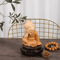 Cute Mini Monk Resin Figurine Zen Buddha Statue For Desk Home Decor 11