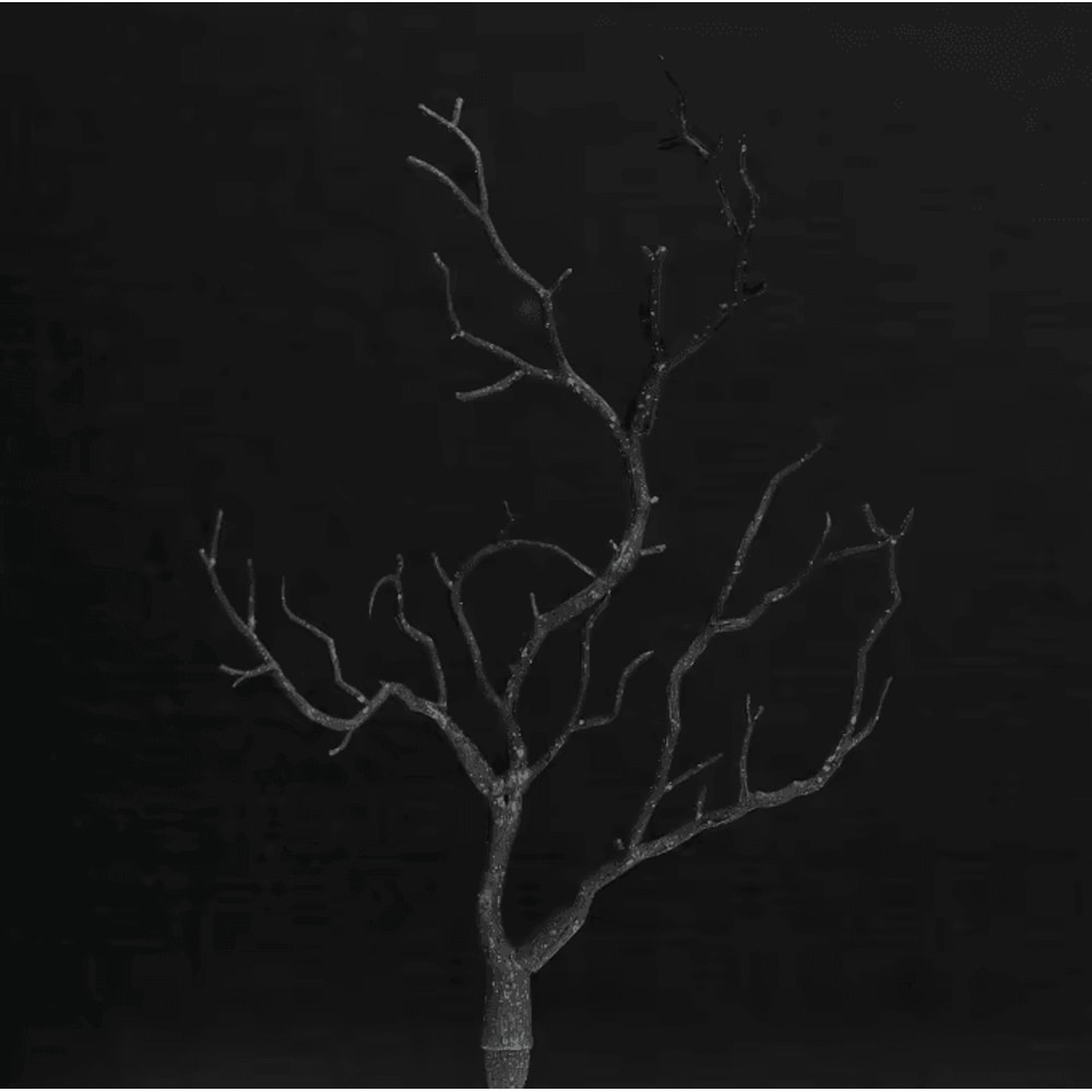 Artificial Antler Tree Branches Rustic Fake Branch Decor For Wedding Christmas Table Styling 7